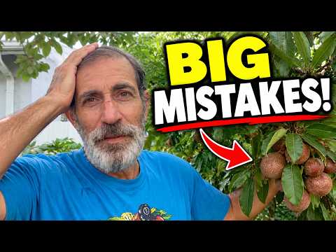 I’ve Grown Fruit Trees for 10+ Years… Here’s What I’d Do Differently!