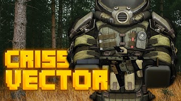 CRISS VECTOR ЗА 12 ЧАСОВ | ИСТОРИЯ КРАФТА | STALCRAFT: X