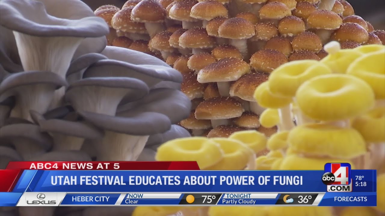 Utah Fungi Festival