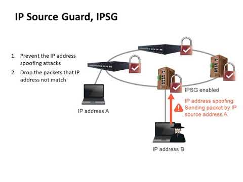 7. Cyber Security: IPSG_IP Source Guard