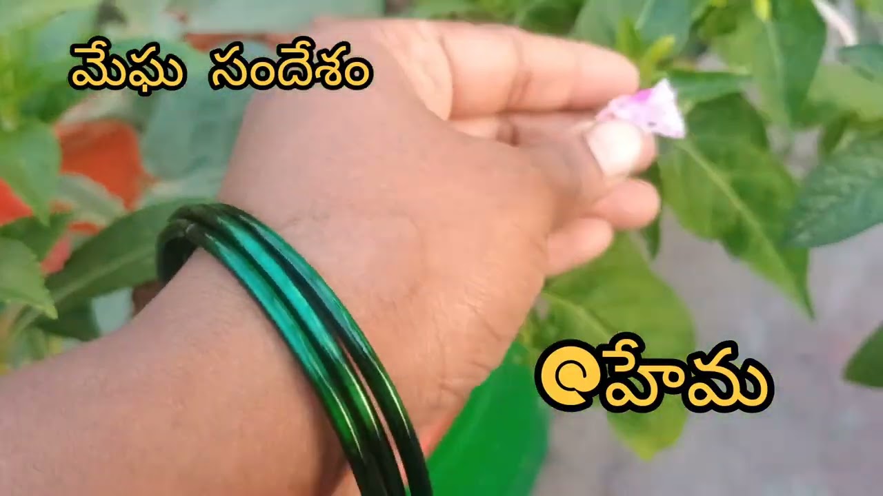 మల్లీశ్వరి గారి గార్డెన్ 🏡 ను మళ్ళీ ఒకసారి చూసేద్దాం రండి#meghasandesam #hemasiva 