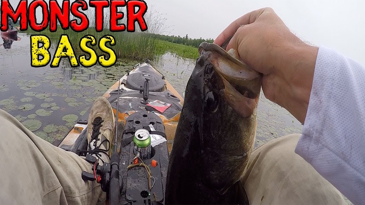 Topwater Bass Fishing "Pushaw Lake" YouTube