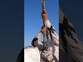 صــيـد بــط عـدد هائــل جدا فيديو ممتع Huge Duck Hunting Very Interesting Video صــيـد بــط عـدد هائــل جدا فيديو ممتع Huge Duck Hunting Very Interesting Video