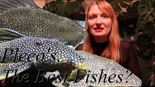 Why you should get a Pleco? Loricariidae and L numbers