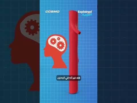 شو سبب دوار البحر
