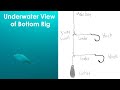 Underwater Look of Sliding Egg Sinker Fishing Rig versus Knocker Fishing Rig