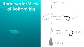 Underwater Look of Sliding Egg Sinker Fishing Rig versus Knocker Fishing Rig  