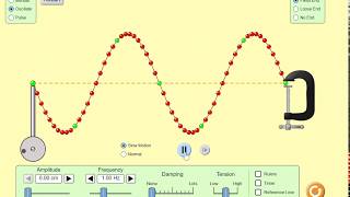 Famous PhET Wave: Reflections and Standing Waves Net Worth
