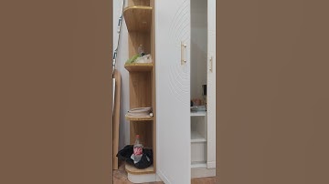 HF DECOR   Thiết kế thi công nội thất Quảng Ngãi