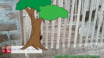 Suab me nyuam yij quaj zoo heev