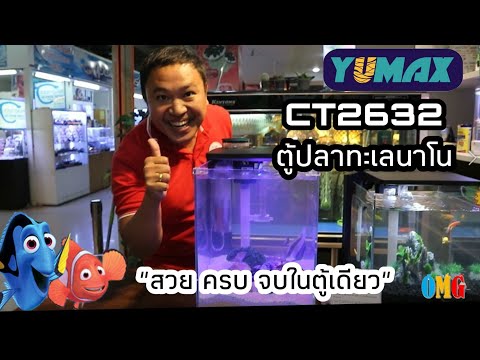 จัดตู้ปลาทะเล YUMAX ใครๆก็เลี้ยงปลาทะเลได้(ระบบขนาดเล็ก)EP.1/2
