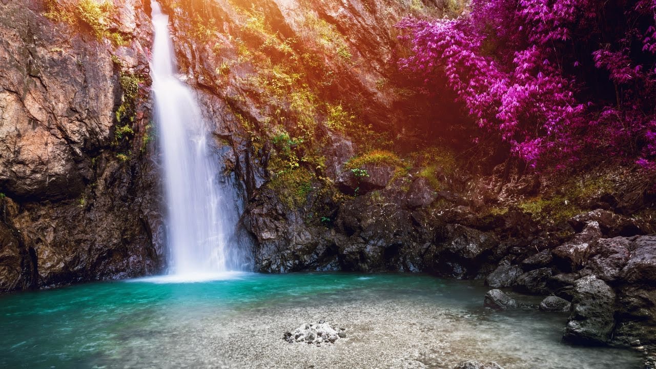 Ambient Relaxing Meditation Music With Nature Scenes | Calming, Yoga ...