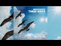 Chavez IllmatiQ - Run Around [3 Birds Riddim]