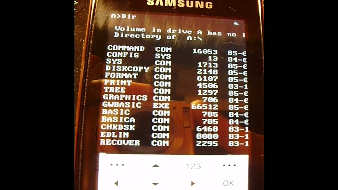 MS-DOS 2.11 on Samsung GT-S5230 (13.03.2011) [60FPS]