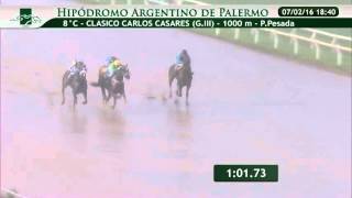 2016-02-16_pal_Curitiba Nistel