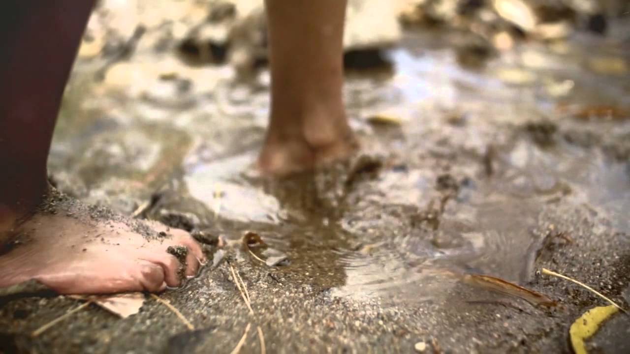 How to Raise a Wild Child by Dr. Scott Sampson 