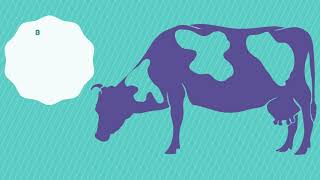 Calstorm Bolus Animasyon Filmi