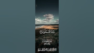 *💥تلاوة عطرة*💥*{ماتيسر من سورة فصلت}* *🎙️للشيخ الفاضل: أحمد بن حسن المحمدي**(حفظه الله تعالى)*