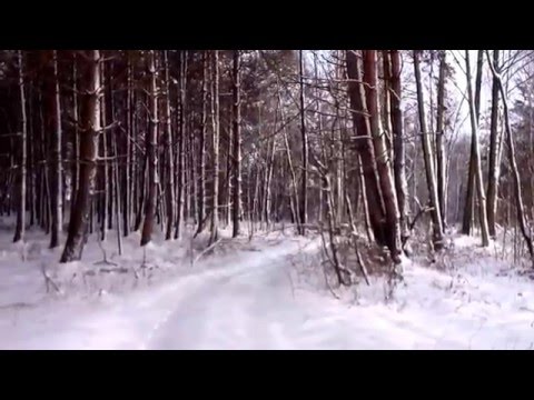 Вышивка зимний закат в еловом лесу
