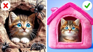 Crazy Cat Rescue 🙀 *DIY How To Build The Secret House For Your Cat*