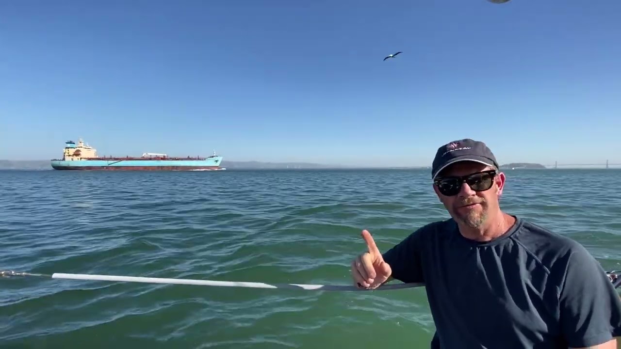 Vessel Traffic Service (VTS): What It Is and How It Works | A Rhumb Line