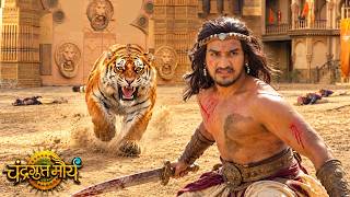 क्या चन्द्रगुप्त अपनी जान खूंखार बाघ से बच पायेगा? | Chandragupta Maurya #Kartikeya Malviya