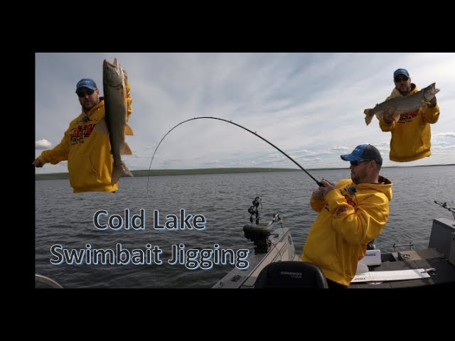 How To Fish a Swimbait Jigging Lake Trout on Cold Lake 