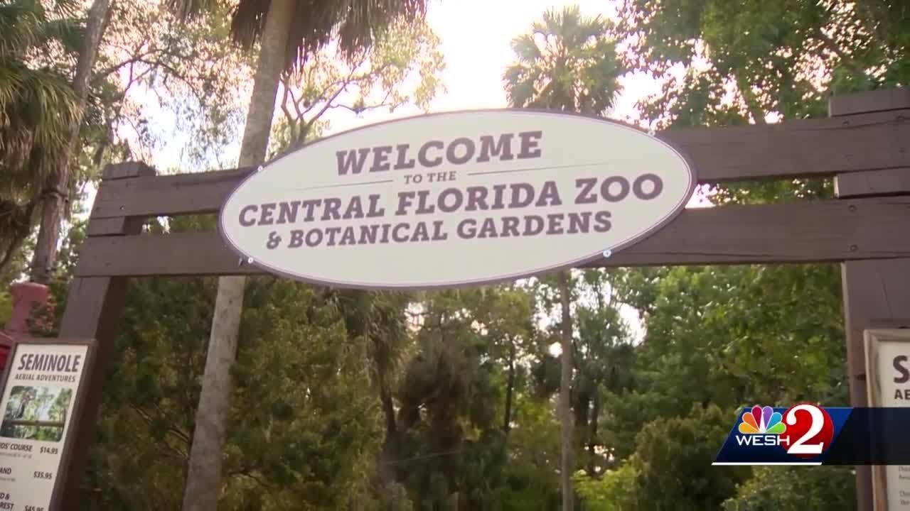 Sanford Zoo prepares for visitors on Wednesday YouTube