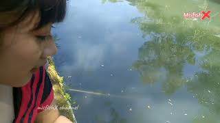 A Large Catastrip Fish Overwhelms The Rolls