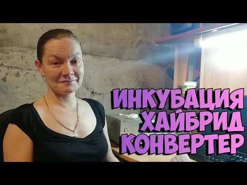 ЛУЧШИЙ режим инкубации индюшиных яиц / ОТЛИЧНЫЙ вывод!👍