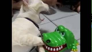 Ctm Ctm Conchetumare Original