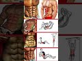 six pack EXCERCISE AT HOME #motivation #gymworkout #shortsfeed #chest#trendvideo #body#abs#esports