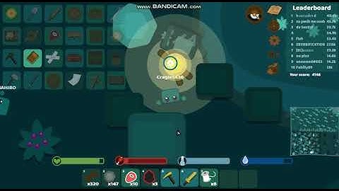 Starve.io- fail quest drag 2 by killed