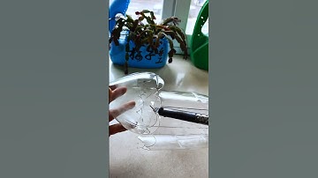 Variation of soap bottles, transformation of self made flower pots, use of waste, part 134