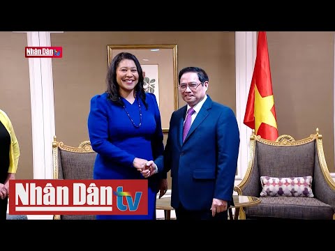 Video Cập nhật các hoạt động của Thủ tướng Phạm Minh Chính... - youtube