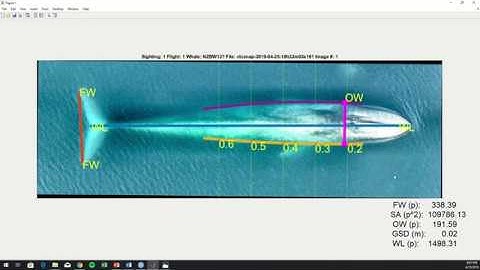 Whale Photogrammetry Tutorial Video