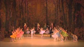 Allegretto Don Quixote Act 2 - Mariinsky Ballet