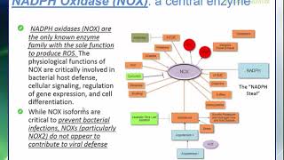 Bob Miller 3D Chess Game Presentation Functional Genomic Analysis