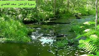سورة الرحمن بصوت سعد الغامدي مع صوت خرير المياة screenshot 5