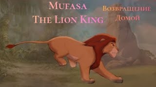 Mufasa . The Lion King . Возвращение домой.