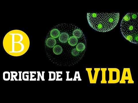 Vídeo: Quin és l'origen químic de la vida?