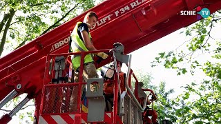Schie Tv Grote Reddingsactie Voor Een Kauw