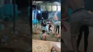 Download Lagu goyang bento yang viral di ntt MP3