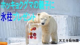 ホッキョクグマに氷柱のプレゼント