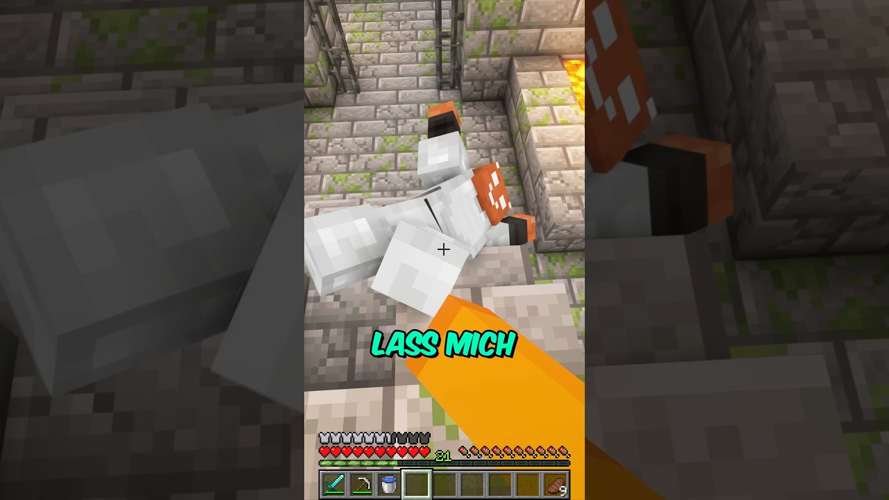 Ich SCHLEIFE IHN zum ENDERDRACHEN?!… #minecraft #toobad #diesereinefreund