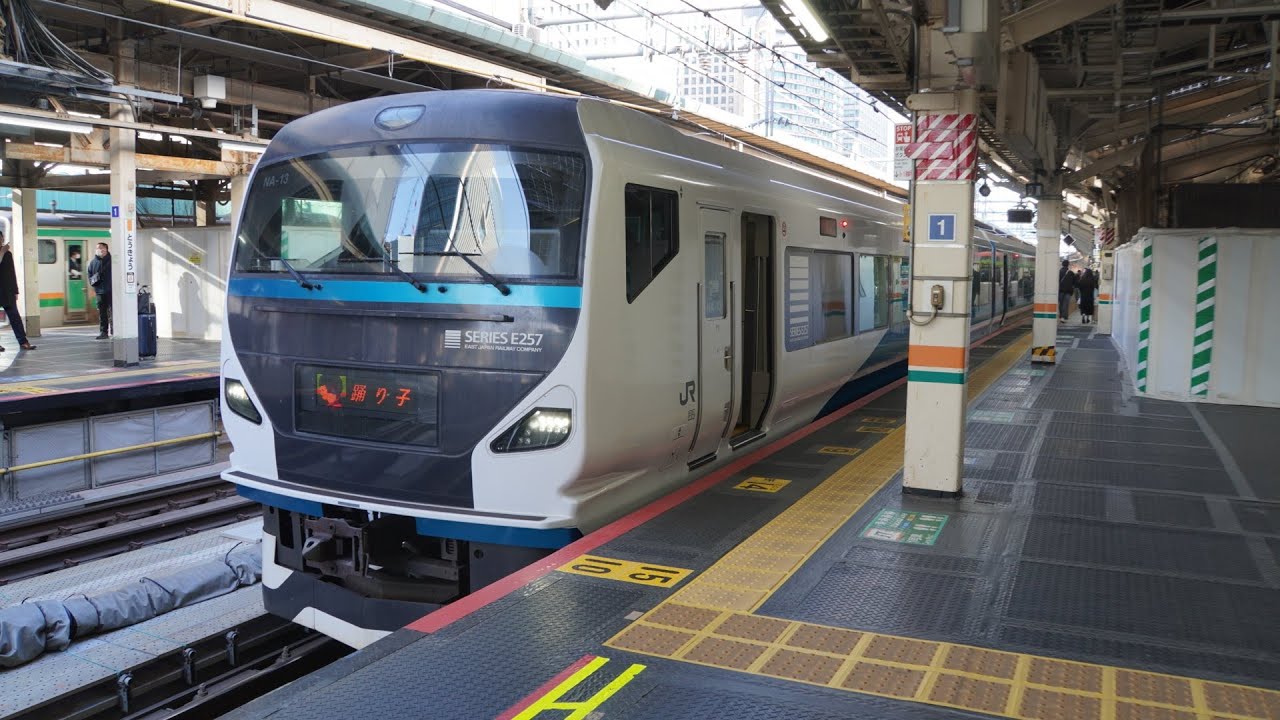 [4K60fps前面展望]E257系2000番台(特急踊り子)【東京-伊豆急下田】1/1