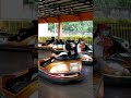 Bumper Car