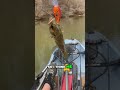 Rock Bass or Shadow Bass? #bassfishing #kayakfishing