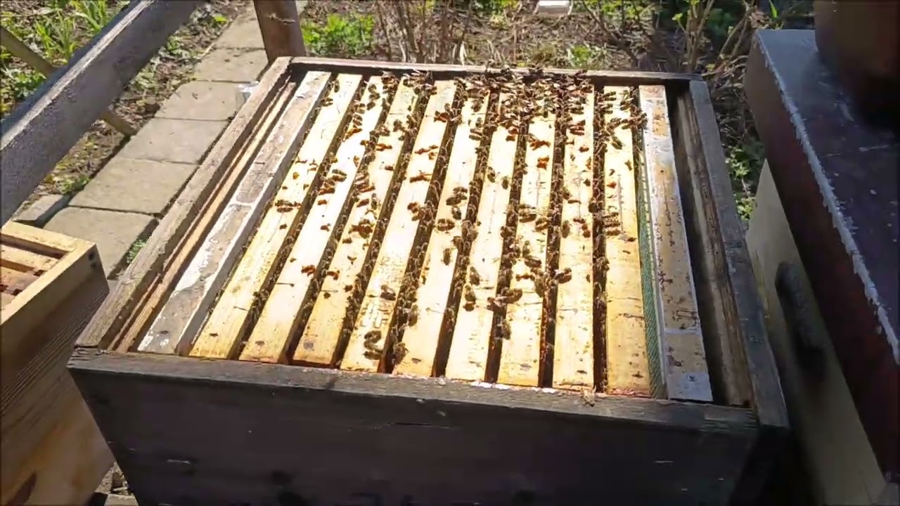 Jarní otočení nástavků ve včelstvech? Kdy udělat jarní rotaci nástavků.