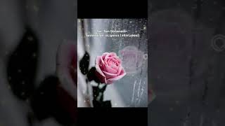 Şiir : Sen Dönmedin